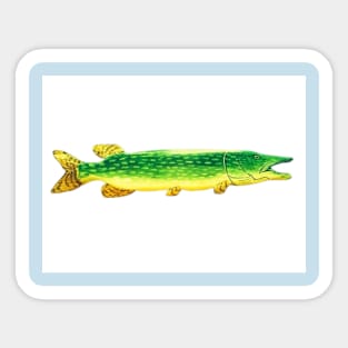 Northern pike fish Sticker